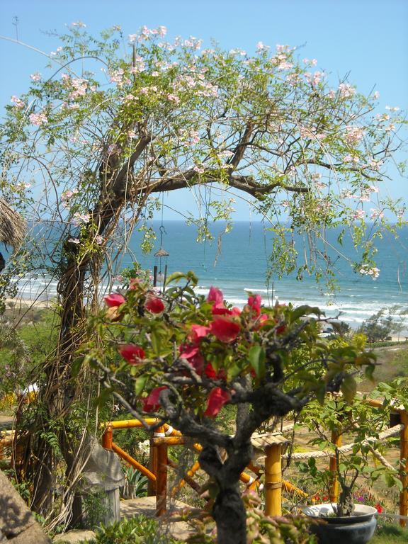 Villa Curia Montanita Ngoại thất bức ảnh