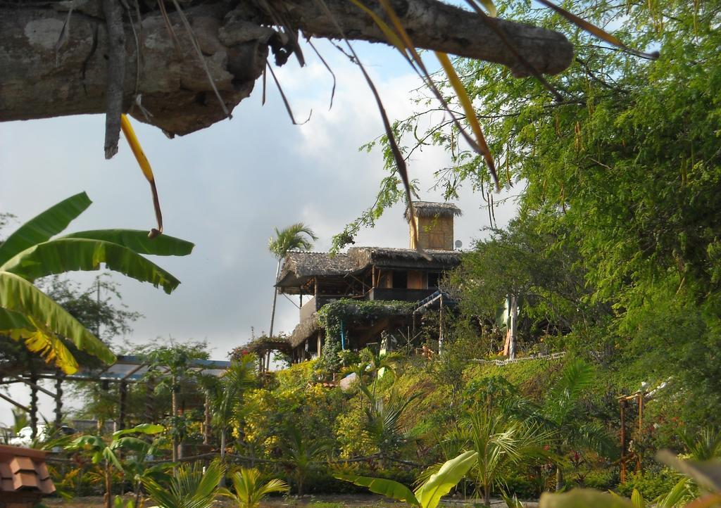 Villa Curia Montanita Ngoại thất bức ảnh