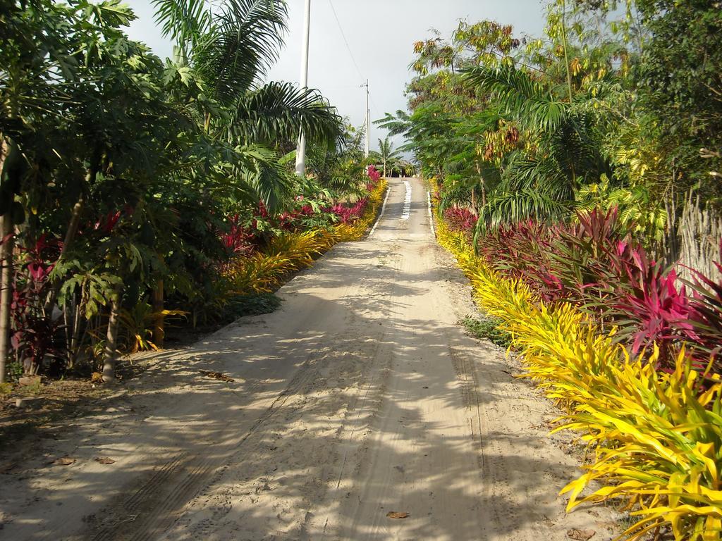 Villa Curia Montanita Ngoại thất bức ảnh