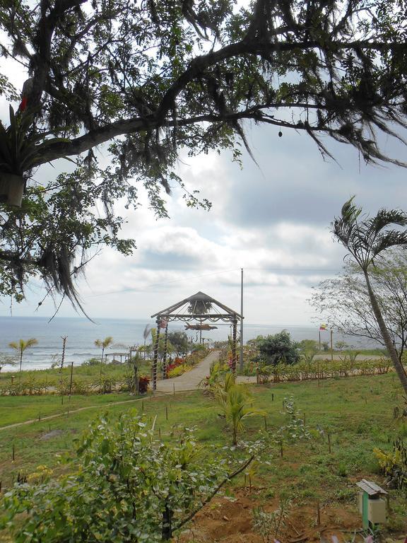 Villa Curia Montanita Ngoại thất bức ảnh