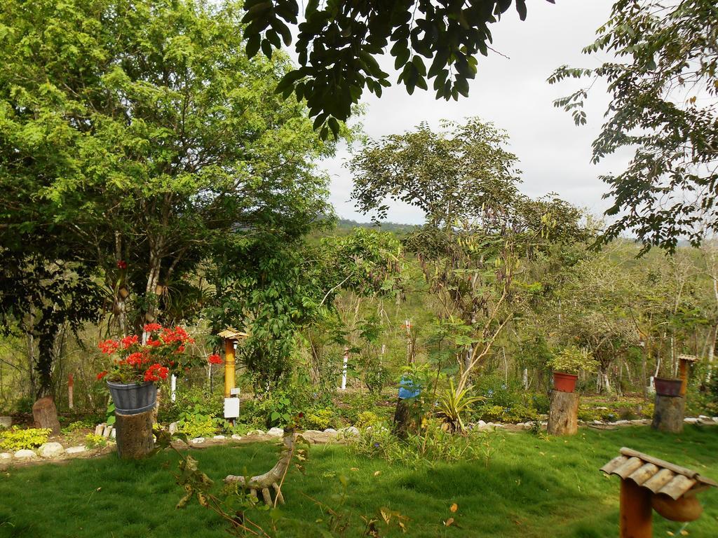 Villa Curia Montanita Ngoại thất bức ảnh