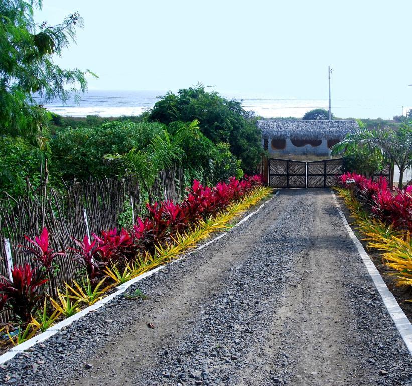 Villa Curia Montanita Ngoại thất bức ảnh