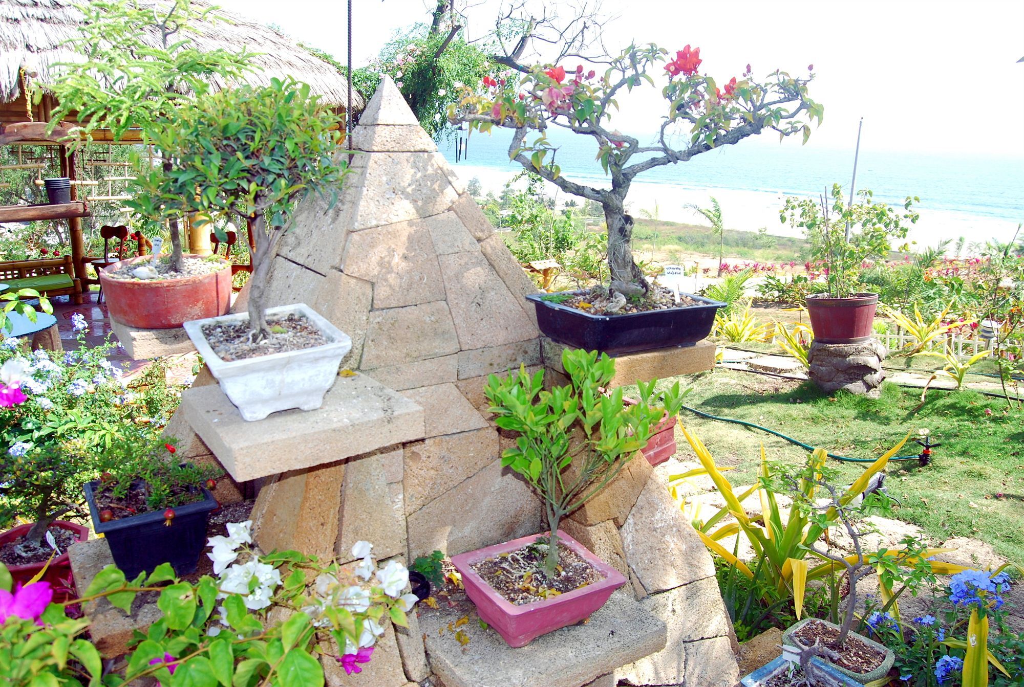Villa Curia Montanita Ngoại thất bức ảnh