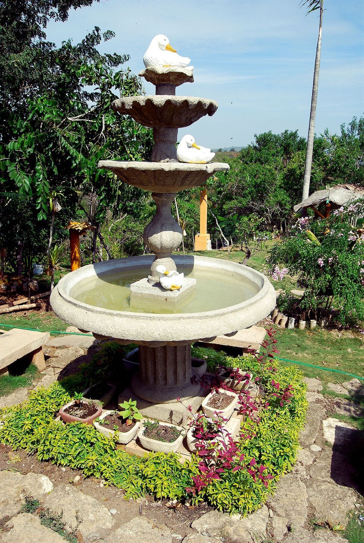 Villa Curia Montanita Ngoại thất bức ảnh